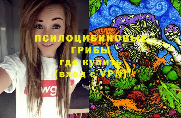 ГАЛЛЮЦИНОГЕННЫЕ ГРИБЫ Семикаракорск