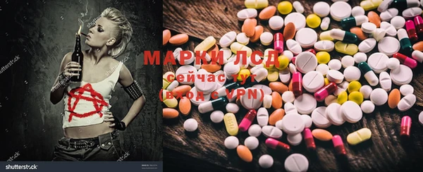 PSILOCYBIN Семёнов