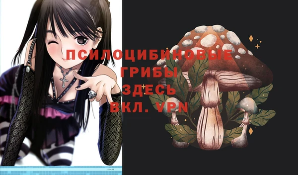 крисы Балахна