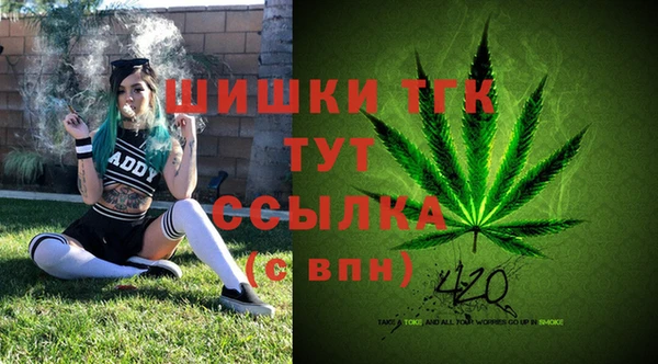 крисы Балахна