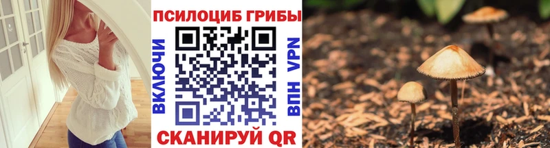 Галлюциногенные грибы мицелий  купить   Новосокольники 